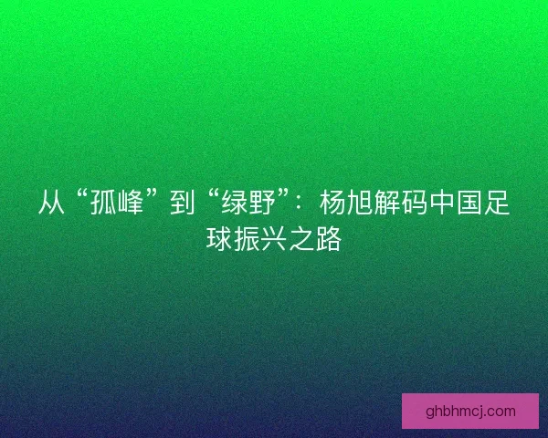 从 “孤峰” 到 “绿野”：杨旭解码中国足球振兴之路